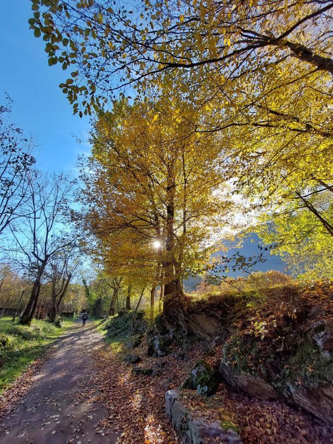 Villaggio Turistico Il Lago Dorato Carlazzo Εξωτερικό φωτογραφία
